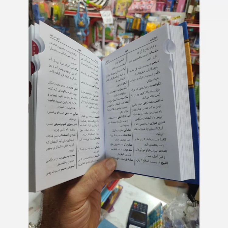 کتاب فرهنگ فارسی استاندارد