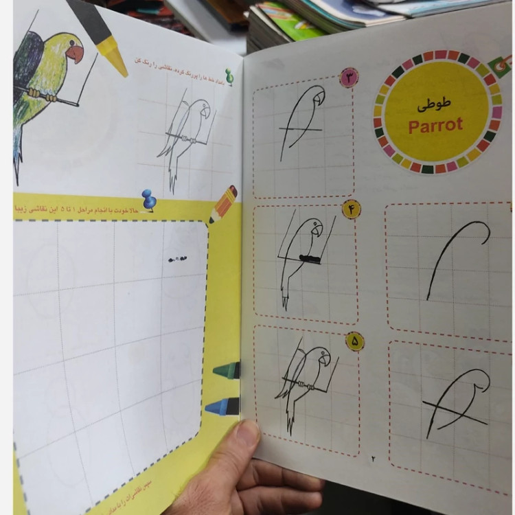 کتاب آموزش نقاشی سینا پرندگان