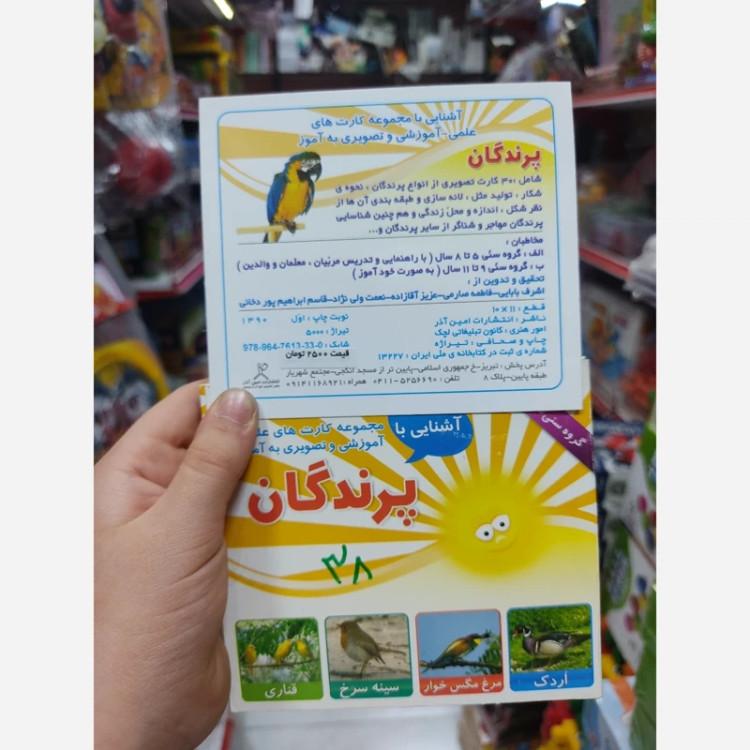 کارت های آموزشی پرندگان