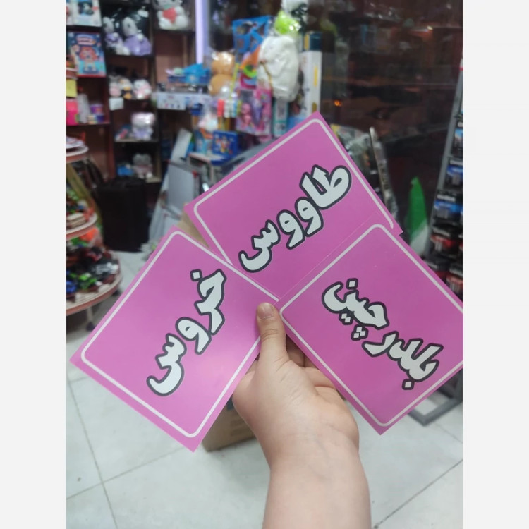کارت های تصویری آموزش پرندگان