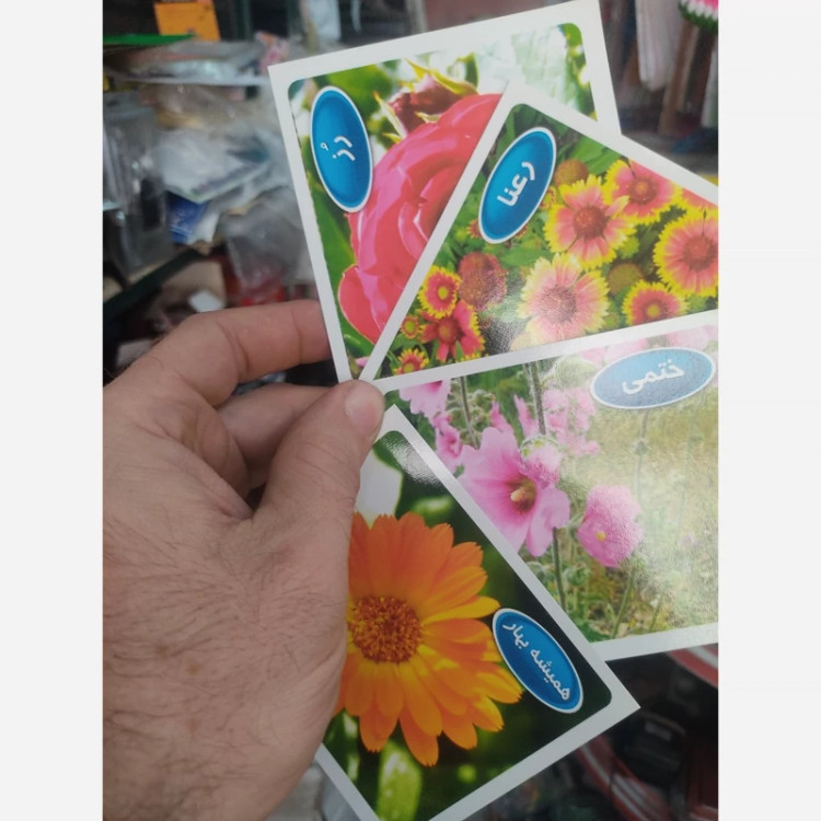 کارت آموزشی گل ها تصویری با توضیحات