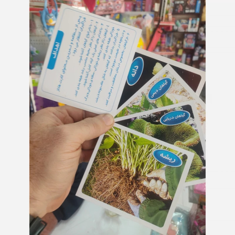 کارت آموزشی گیاهان تصویری 30 کارتی