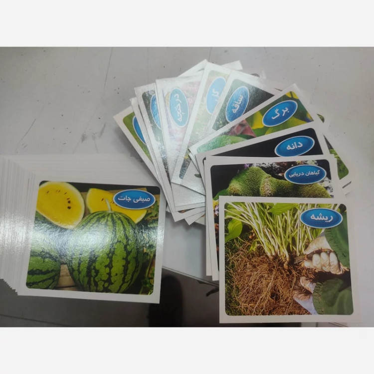 کارت آموزشی گیاهان تصویری 30 کارتی