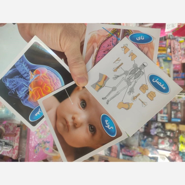 کارت آموزشی اعضای بدن 30 کارتی