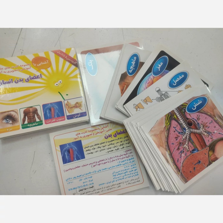 کارت آموزشی اعضای بدن 30 کارتی