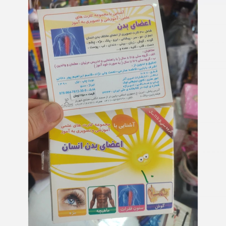 کارت آموزشی اعضای بدن 30 کارتی