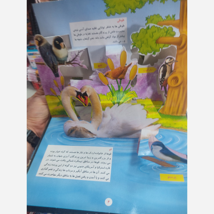 کتاب برجسته آشنایی با پرندگان