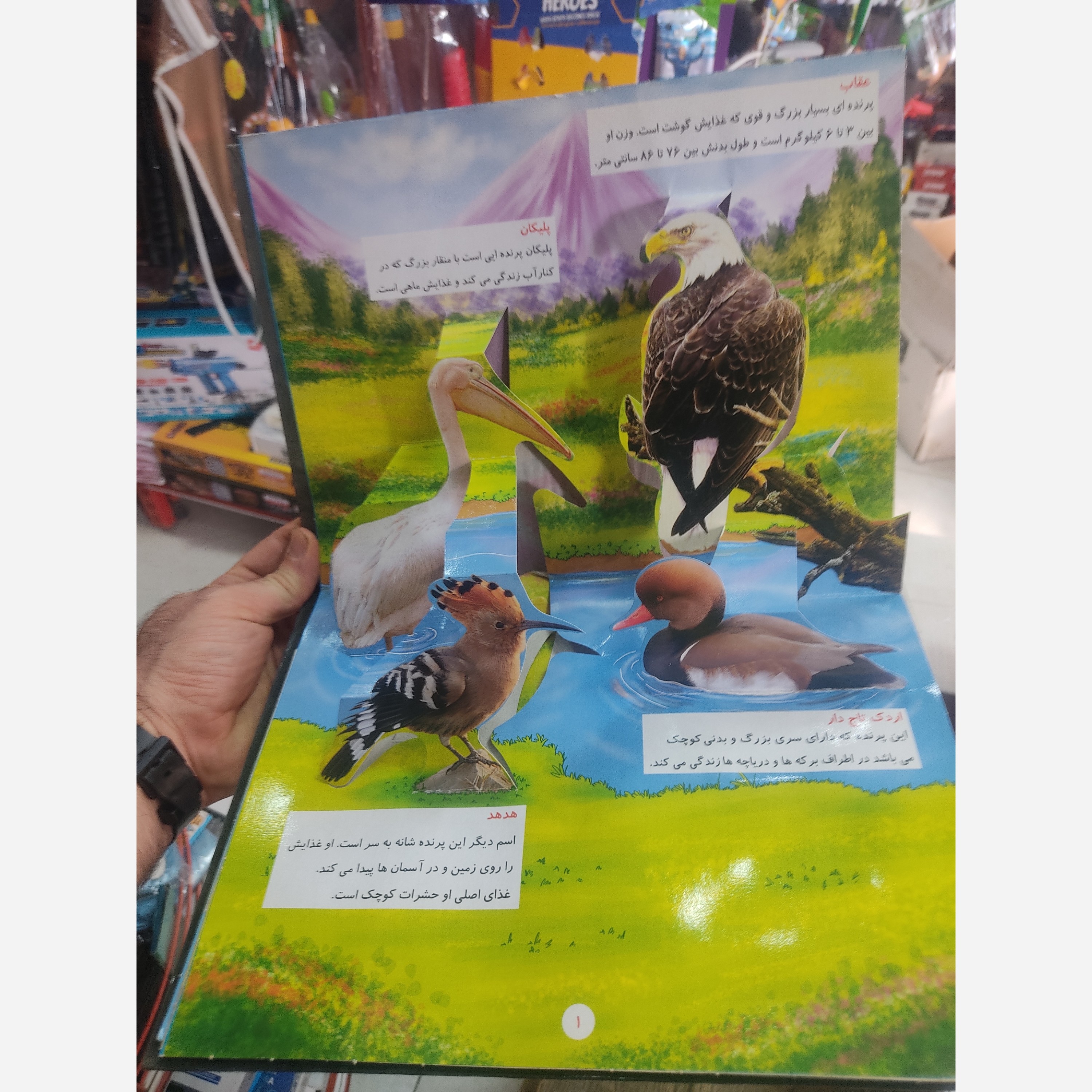 کتاب برجسته آشنایی با پرندگان